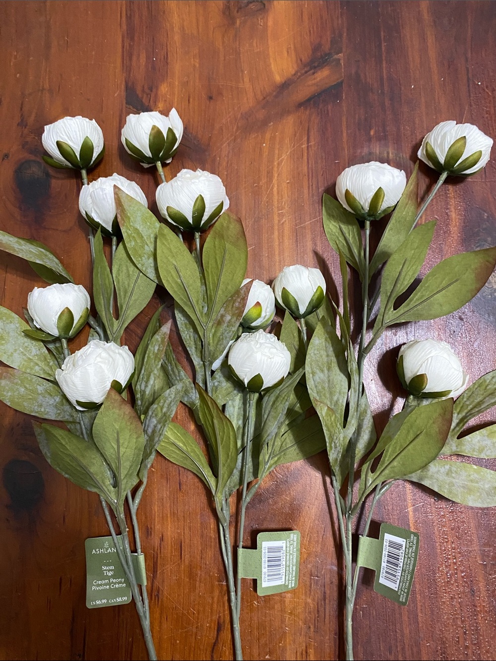 Ashland Peony Stems Cream 3 Stems